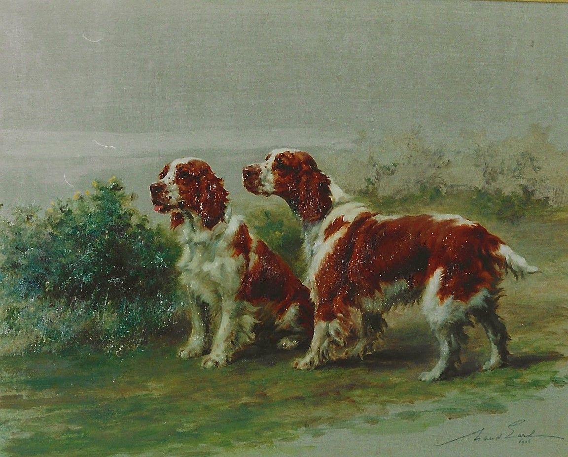 A Gundog Selection